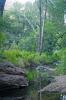 Devil's Canyon Vegetation