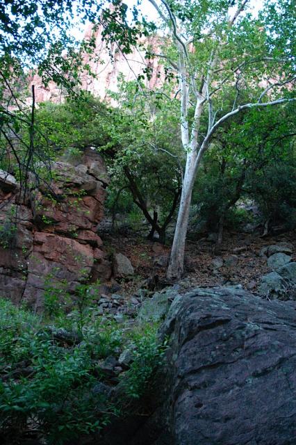 devils_canyon10