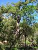devils_canyon31