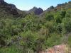 devils_canyon34