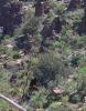 devils_canyon40